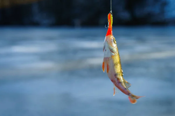 Pesca invernale. Pesca sul ghiaccio — Foto Stock