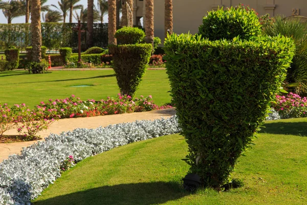 Diseño del parque paisajístico en verano . — Foto de Stock