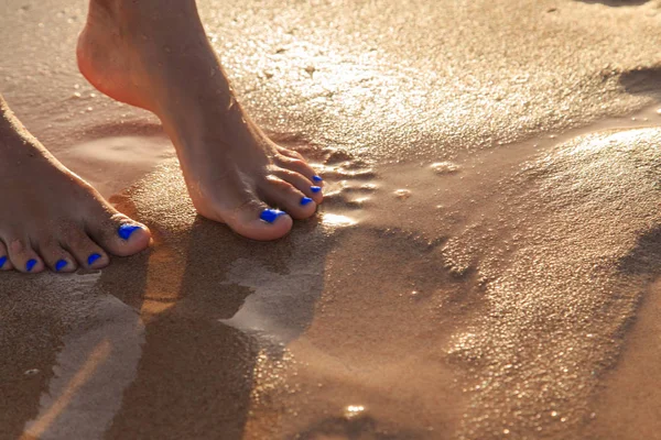 Beautiful legs on wet sand