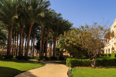 Peyzaj Bahçe tasarımı. Doğanın güzelliği.