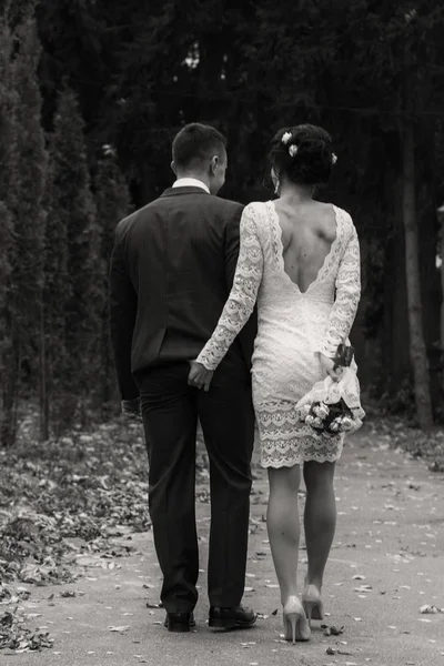 Свадьба. невеста и жених — стоковое фото