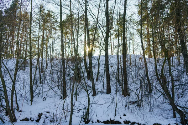 Vackert vintersnölandskap vid sjön — Stockfoto