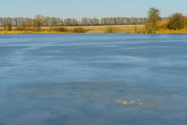 水域绑定的冰, 美丽的冬季景观 — 图库照片