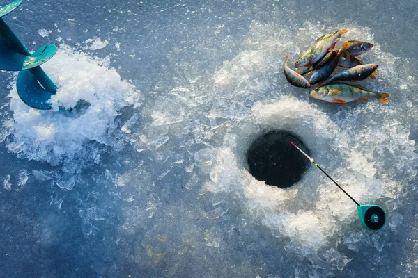 Buzda balık balık yakaladı