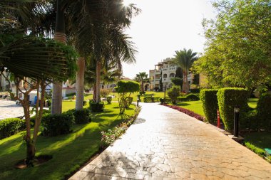 Bahçe ve peyzaj tasarımı. Güzel çiçekler ve çalılar.