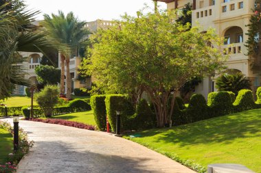 Bahçe ve peyzaj tasarımı. Güzel çiçekler ve çalılar.