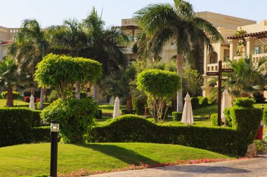 Bahçe ve peyzaj tasarımı. Güzel çiçekler ve çalılar.