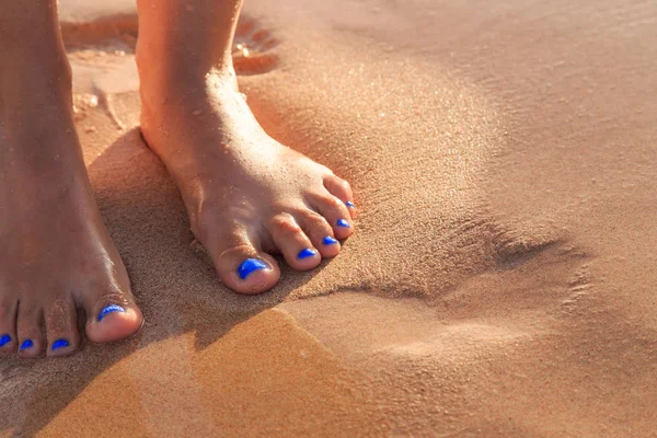 바다 모래에 아름 다운 페디큐어 — 스톡 사진