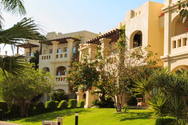 Bahçe ve peyzaj tasarımı. Güzel çiçekler ve çalılar.