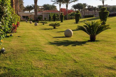 Bahçe ve peyzaj tasarımı. Park tasarım