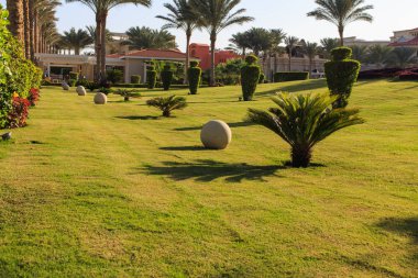 Bahçe ve peyzaj tasarımı. Park tasarım