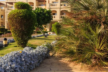 Bahçe ve peyzaj tasarımı. Park tasarım