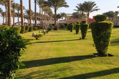 Bahçe ve peyzaj tasarımı. Park tasarım