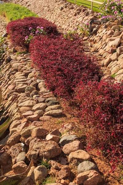 Giardino e progettazione del paesaggio. Il design del parco — Foto Stock