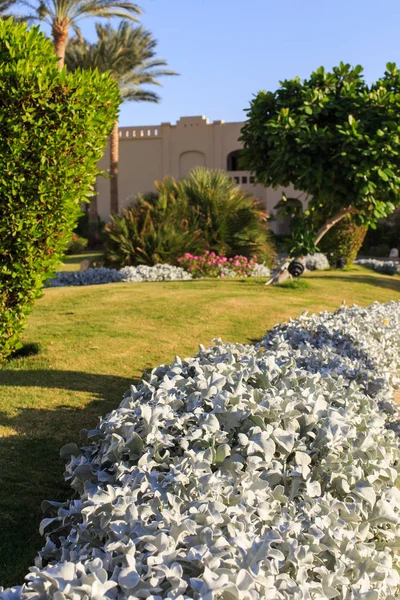 Bahçe ve peyzaj tasarımı. Park tasarım — Stok fotoğraf