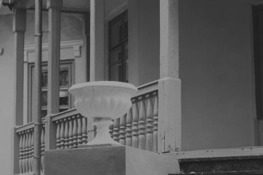 düğün. Gelin ve damat