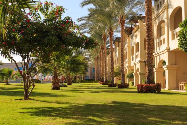 Büyük Bahçe ve peyzaj tasarım