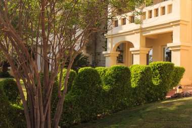 Büyük Bahçe ve peyzaj tasarım