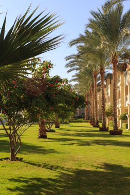 Büyük Bahçe ve peyzaj tasarım