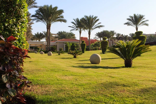 Güzel yeşil tropikal bahçe