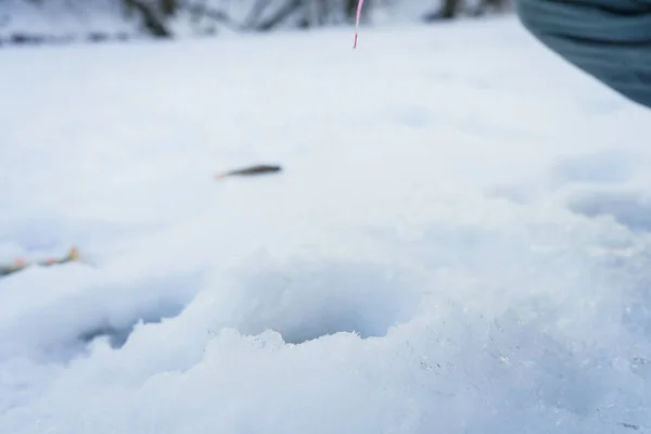 冬の釣りのテーマ、魚氷の上にあります。. — ストック写真