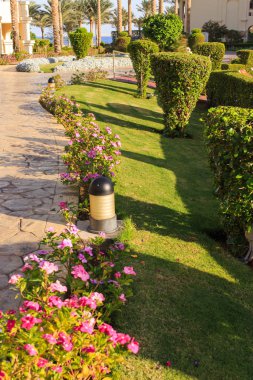 Bahçe ve peyzaj tasarımı. Park tasarım