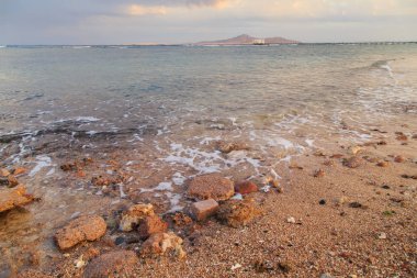 Kabukları ve Mercan Denizi