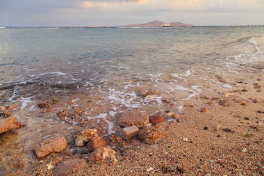 Kabukları ve Mercan Denizi