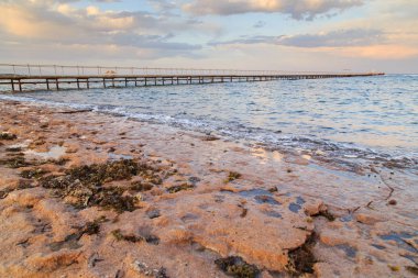 Kabukları ve Mercan Denizi