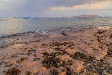 Kabukları ve Mercan Denizi