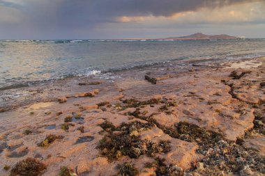 Kabukları ve Mercan Denizi