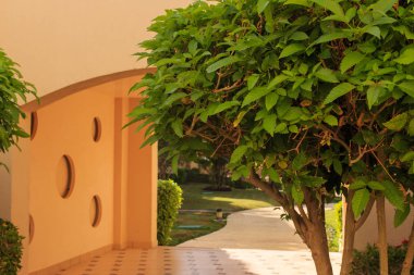 Arap tarzında mimarlık.