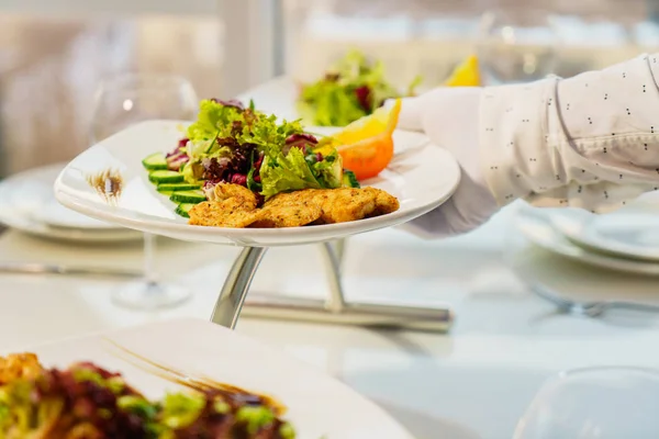 Platos. Ensalada en un plato blanco . — Foto de Stock