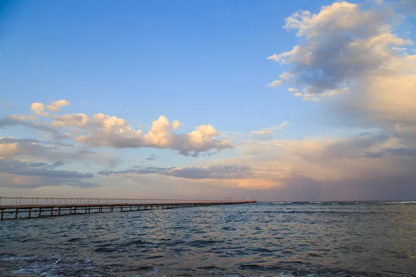 Snäckor och koraller vid havet — Stockfoto