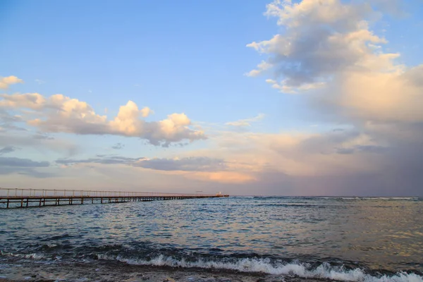 Muscheln und Korallen auf dem Meer — Stockfoto