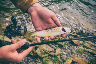 İplik üzerinde Balık tutma.