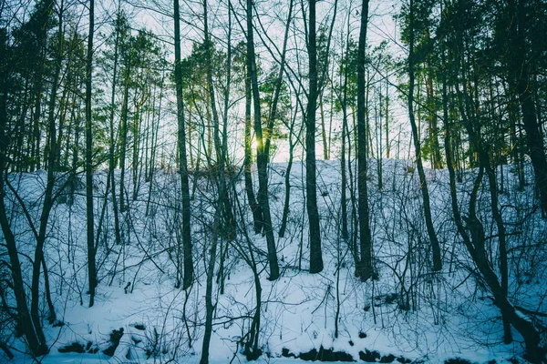 겨울 낚시, 눈이 많이. — 스톡 사진