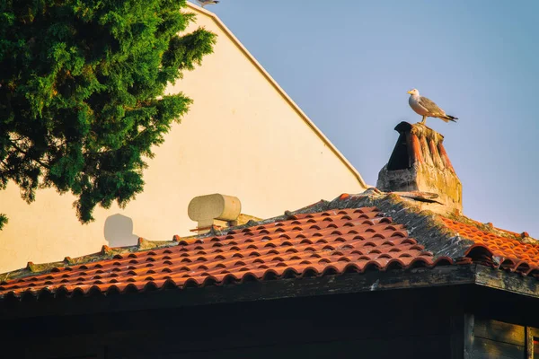 Architecture of the sea island — Stock Photo, Image