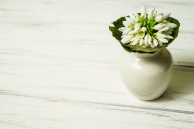 Kardelen ahşap arka plan üzerinde