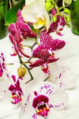 Çiçekli güzel bir arkaplan