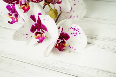 Çiçekli güzel bir arkaplan