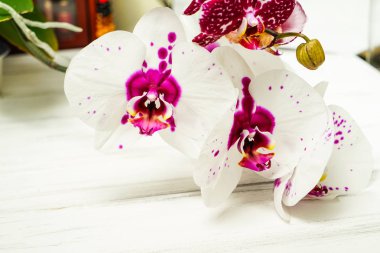 Çiçekli güzel bir arkaplan