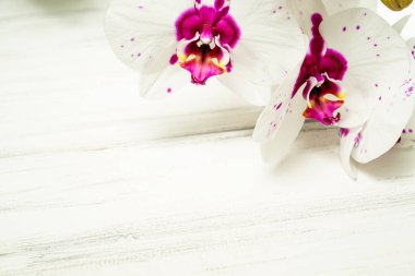 Çiçekli güzel bir arkaplan