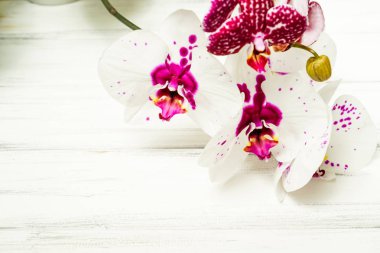 Çiçekli güzel bir arkaplan