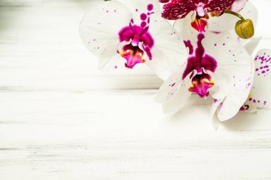 Çiçekli güzel bir arkaplan