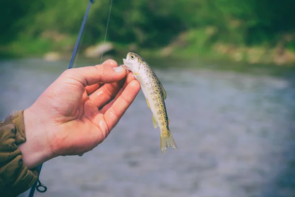 Pesca em um rio de montanha — Fotografia de Stock