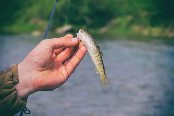 Pesca em um rio de montanha — Fotografia de Stock