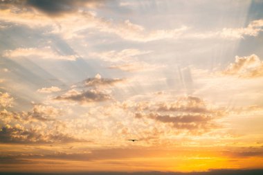 Güzel gün batımı, doğanın güzelliği.