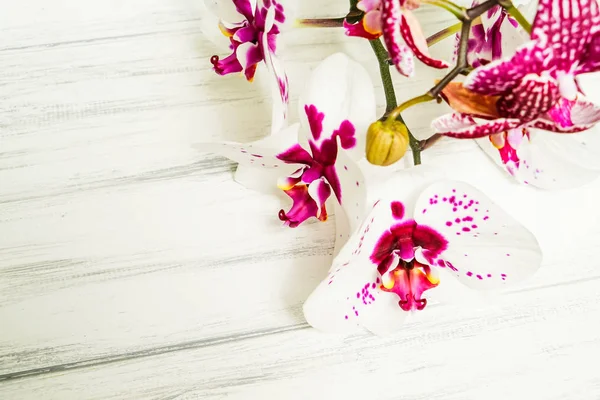Ahşap beyaz zemin üzerine güzel çiçekler