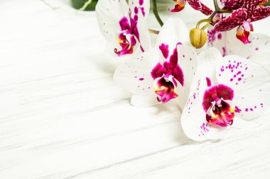 Ahşap beyaz zemin üzerine güzel çiçekler